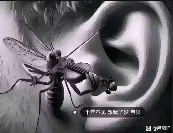半年不见，想我了没，宝贝？@吊图吧