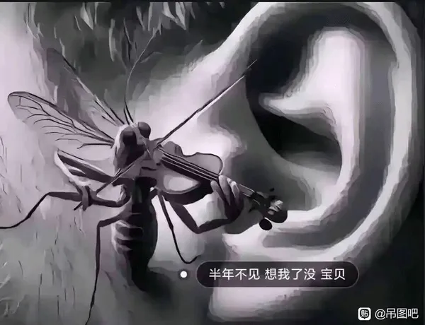半年不见，想我了没，宝贝？@吊图吧