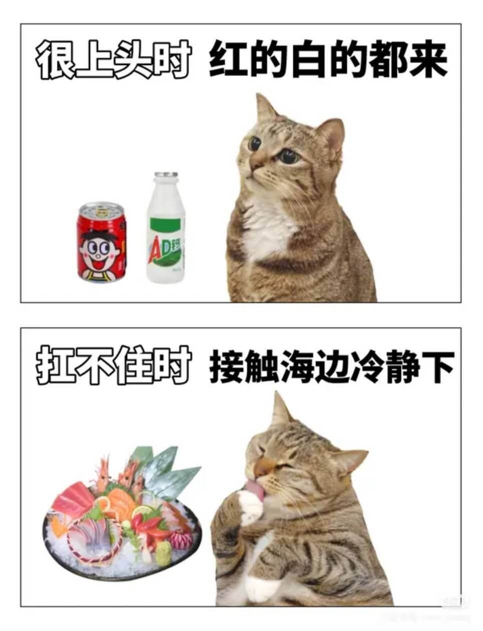很上头时，红的白的都来。打不佳时，接触海边冷静下。
