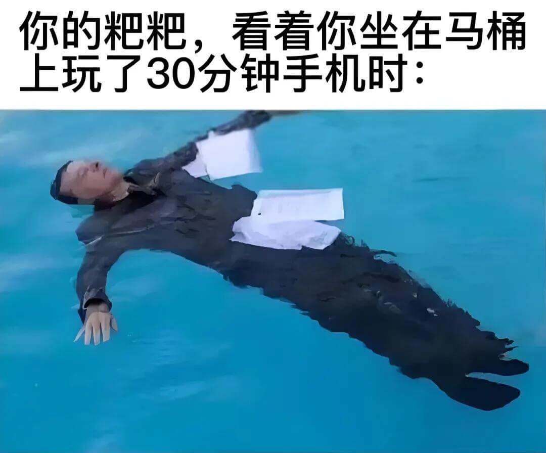 你的粑粑，看看你坐在马桶上玩了30分钟手机时：