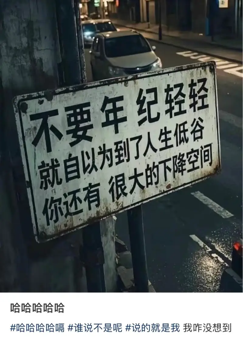 不要年纪轻轻就自以为到了人生低谷你还有很大的下降空间哈哈哈哈