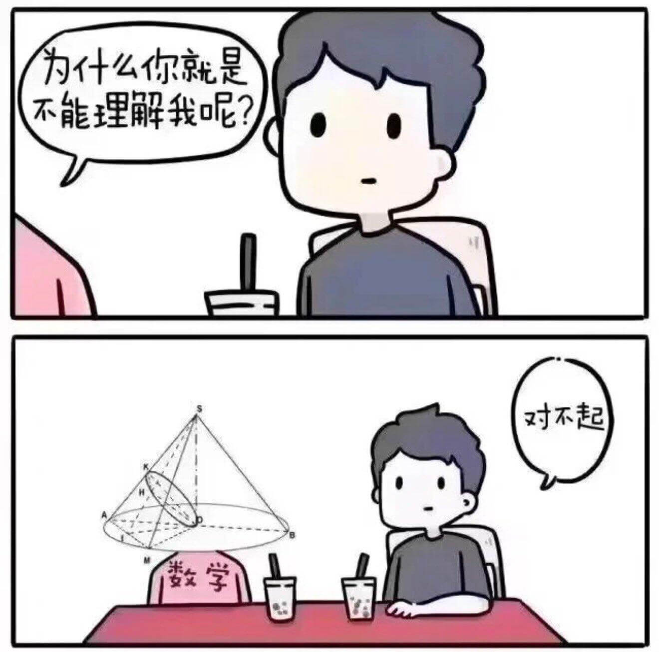 为什么你就是不能理解我呢？对不起数学