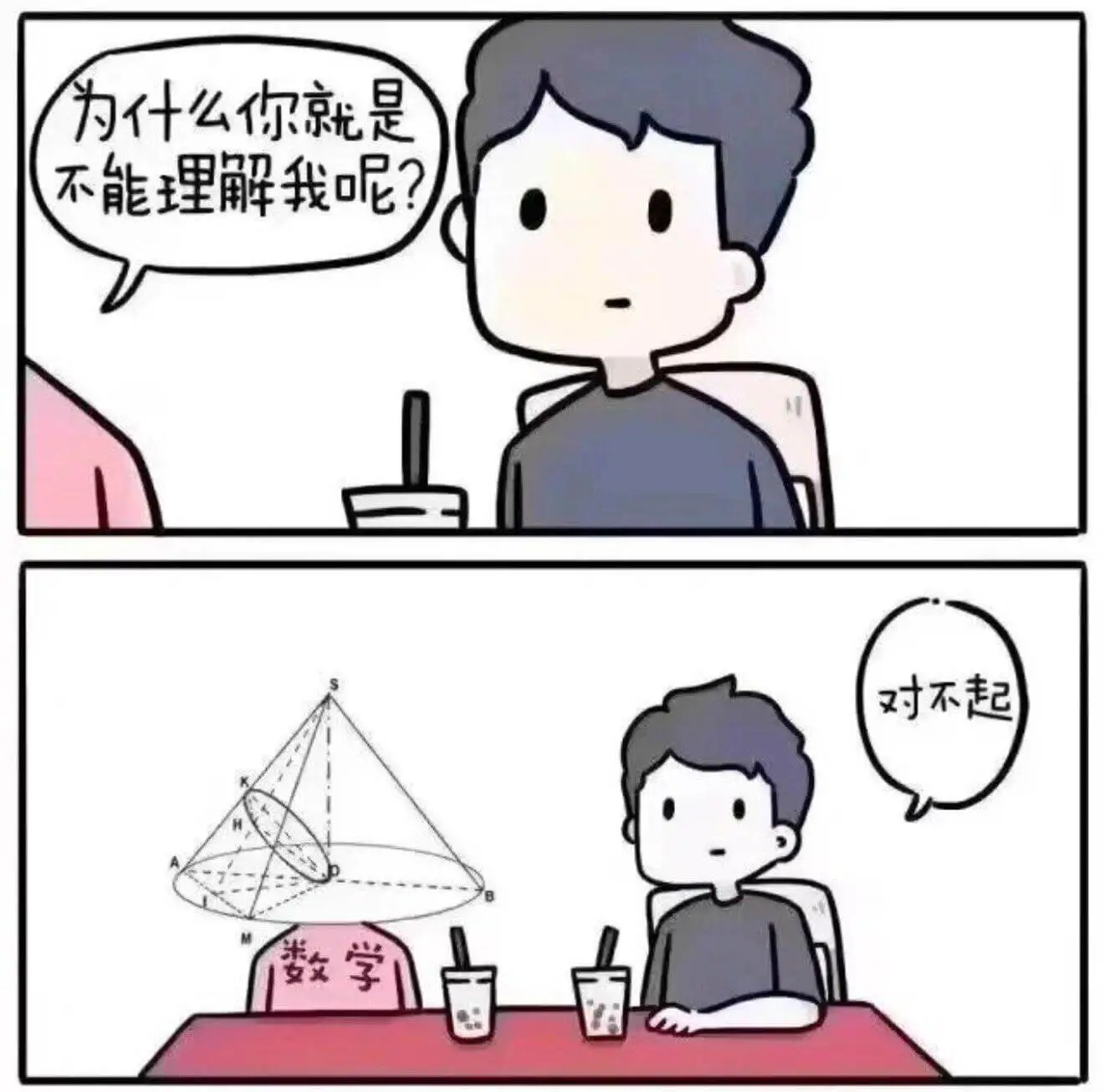 为什么你就是不能理解我呢？对不起数学