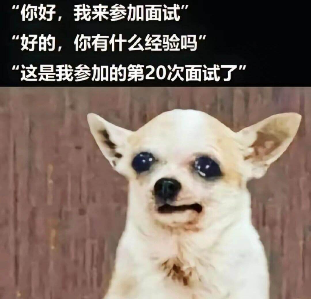你好，我来参加面试。“好的，你有什么经验吗？”“这是我参加的