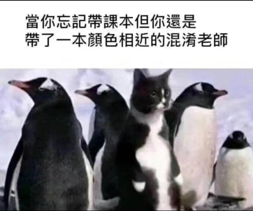 当你忘记带课本但你依然带了一本颜色相近的混淆了