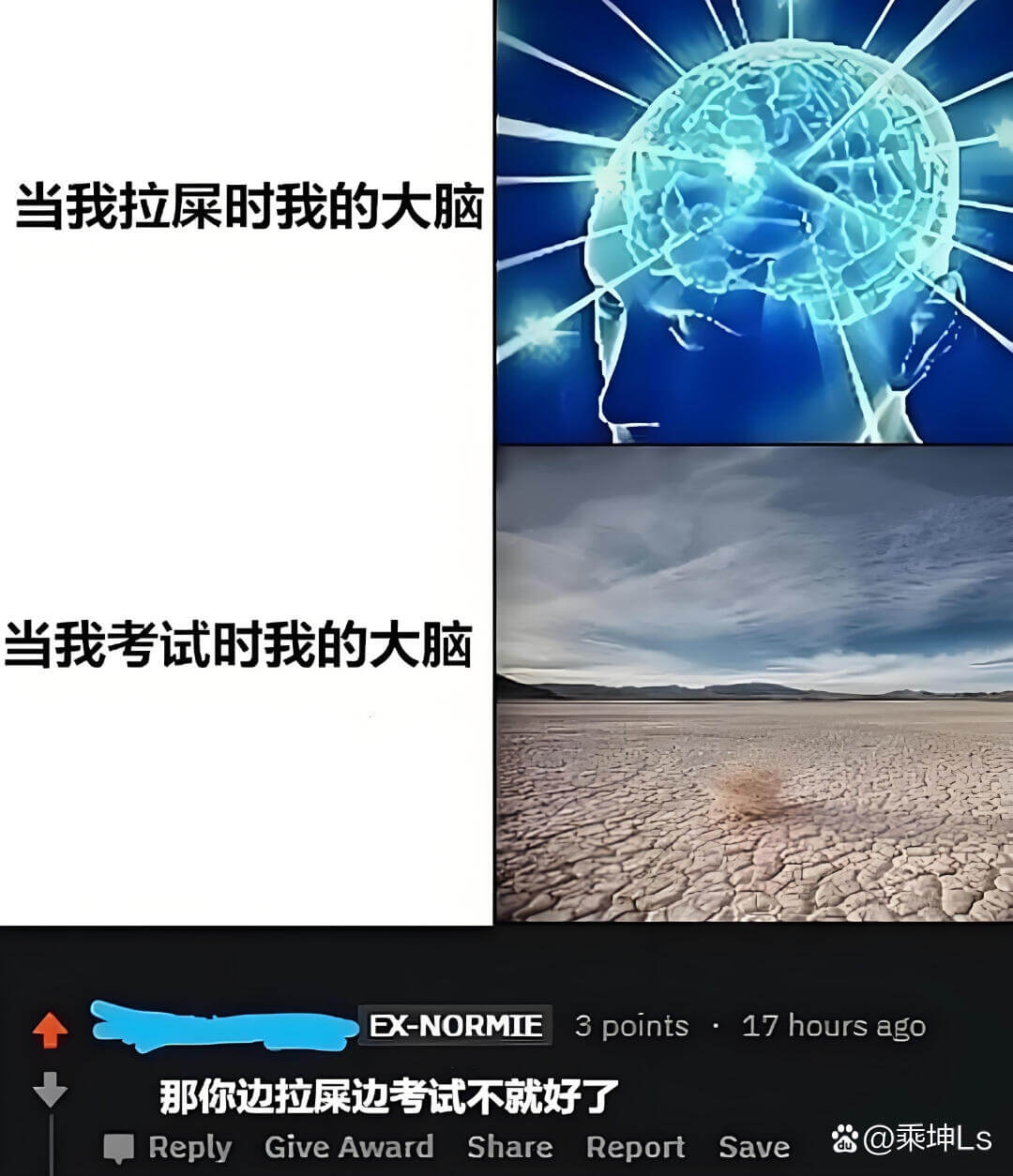 当我拉屎时我的大脑当我考试时我的大脑EX-NORMIE3po