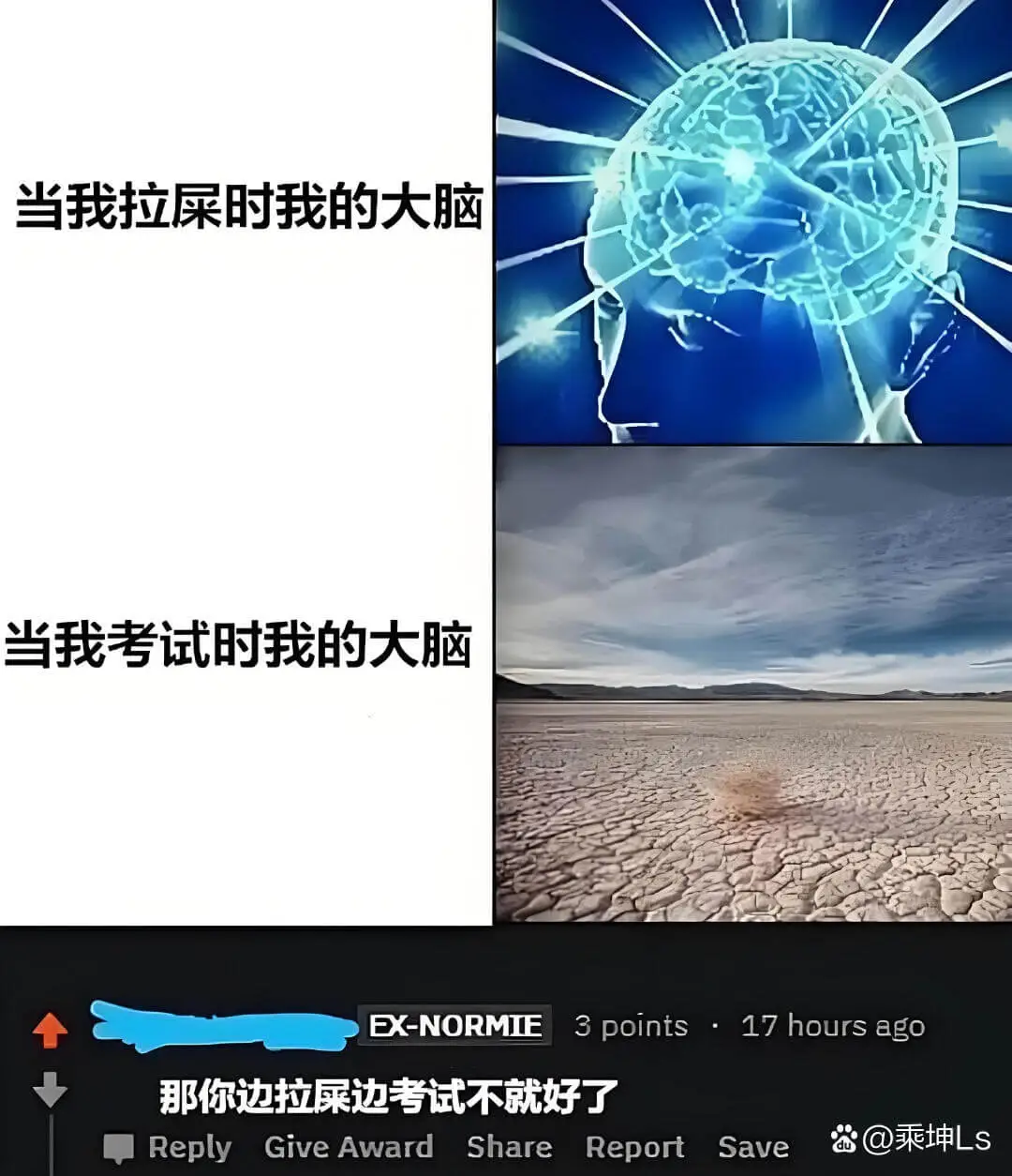 当我拉屎时我的大脑当我考试时我的大脑EX-NORMIE3po