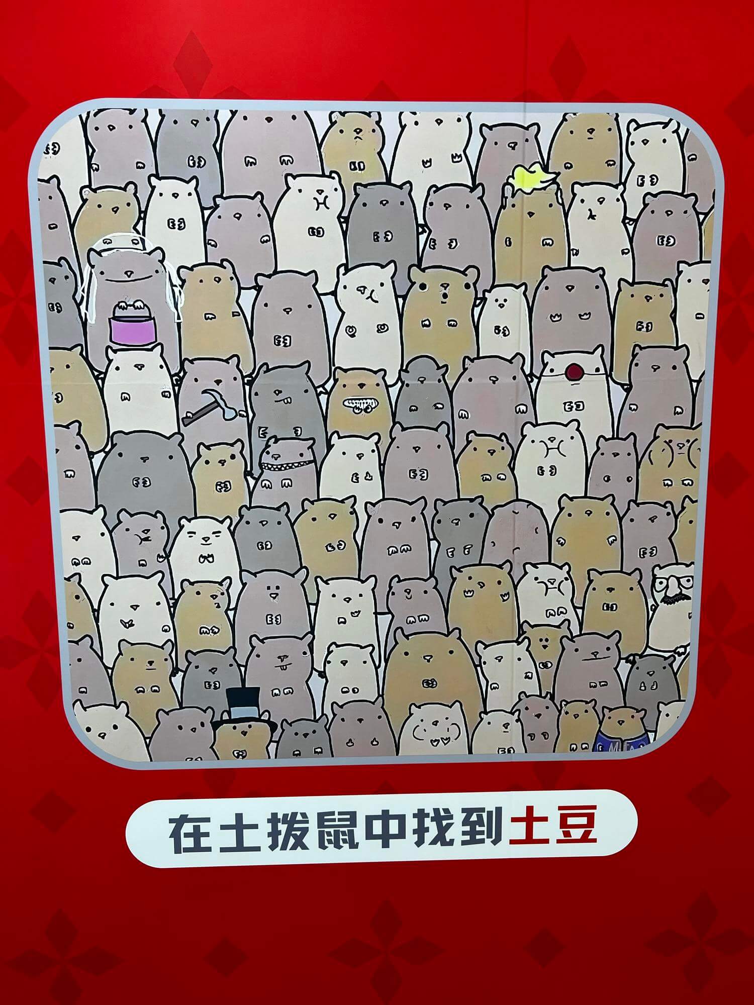 在士拨鼠中找到土豆