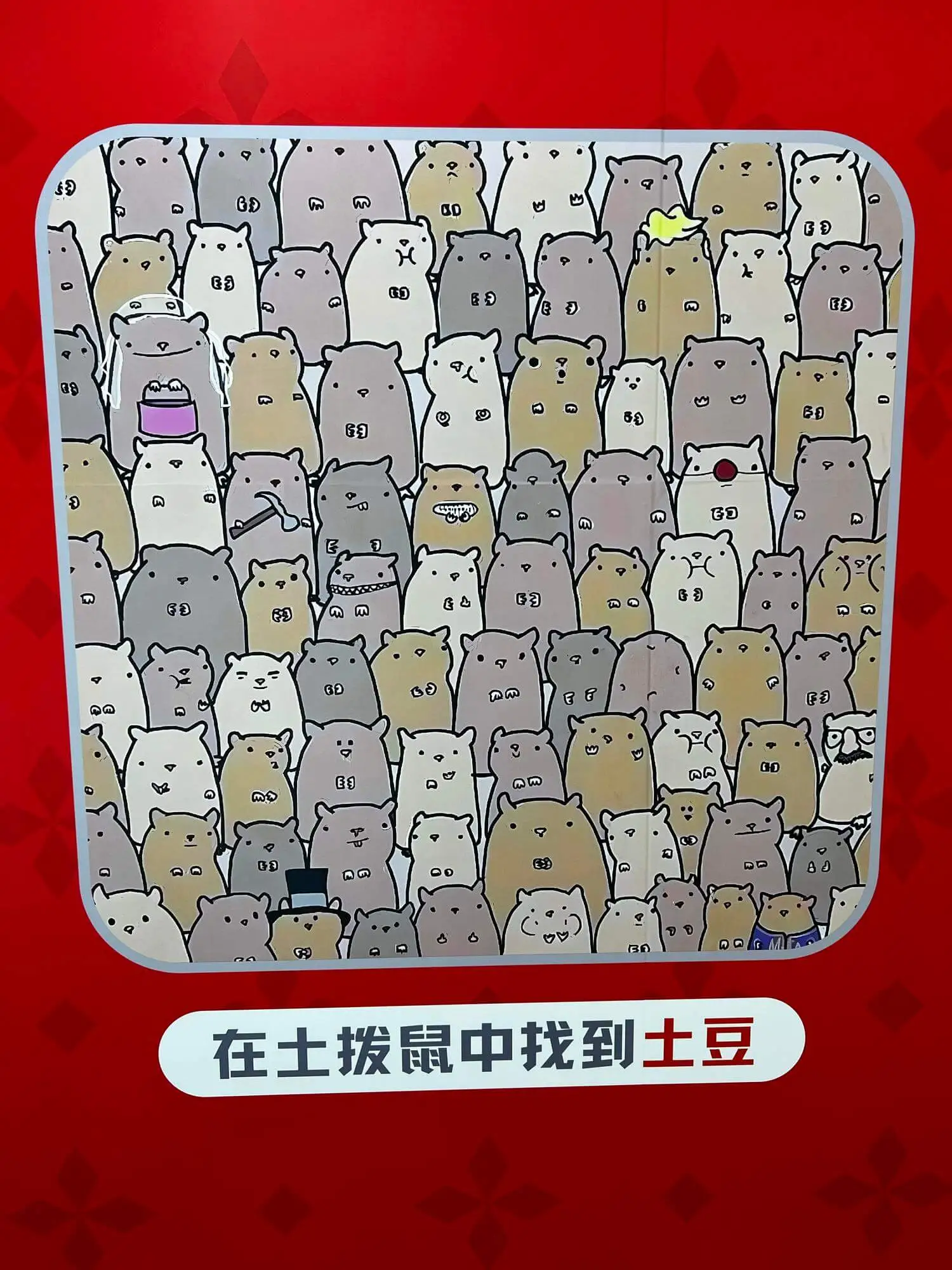 在士拨鼠中找到土豆