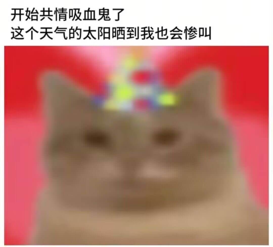 开始共情吸血鬼了这个天气的太阳晒到我也会惨叫