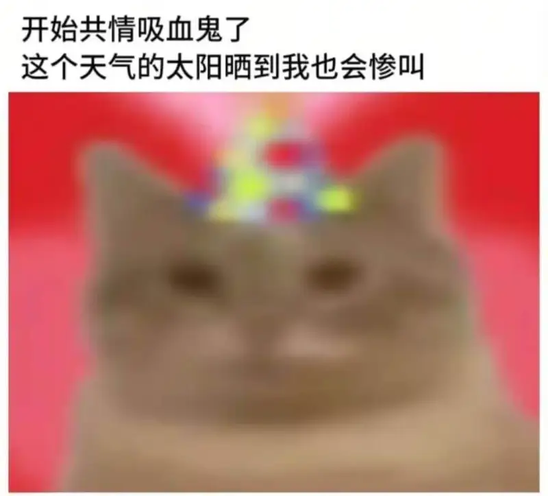 开始共情吸血鬼了这个天气的太阳晒到我也会惨叫