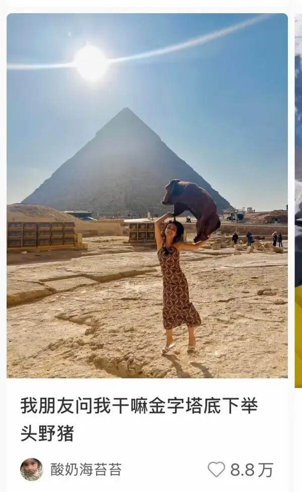 我朋友问我干嘛金字塔底下举头野猪酸奶海苔苔8.8万