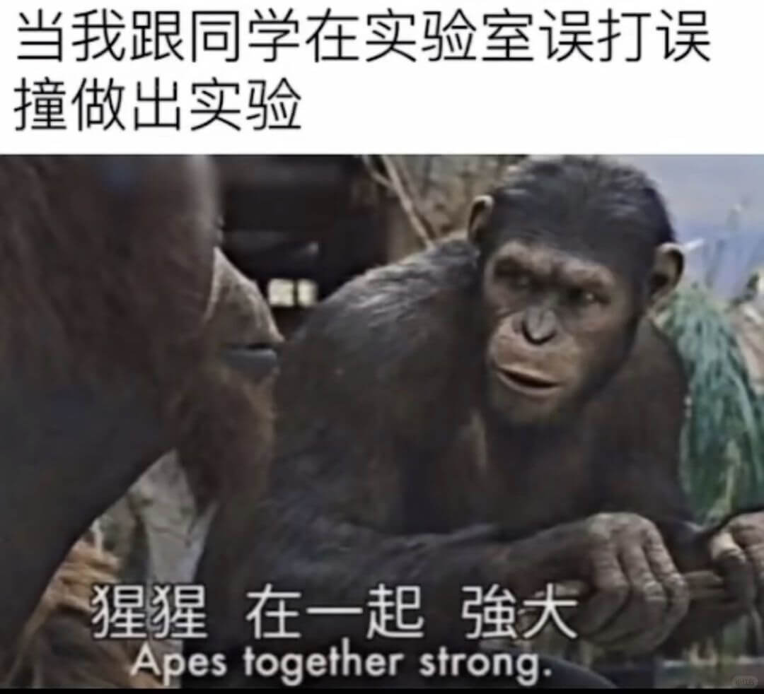当我跟同学在实验室误打误撞做出实验猩猩在一起强大Apesto