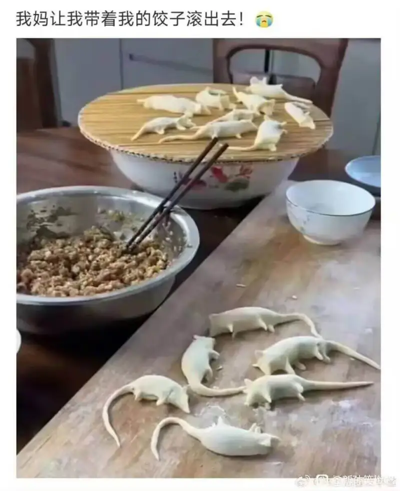 我妈让我带着我的饺子滚出去！