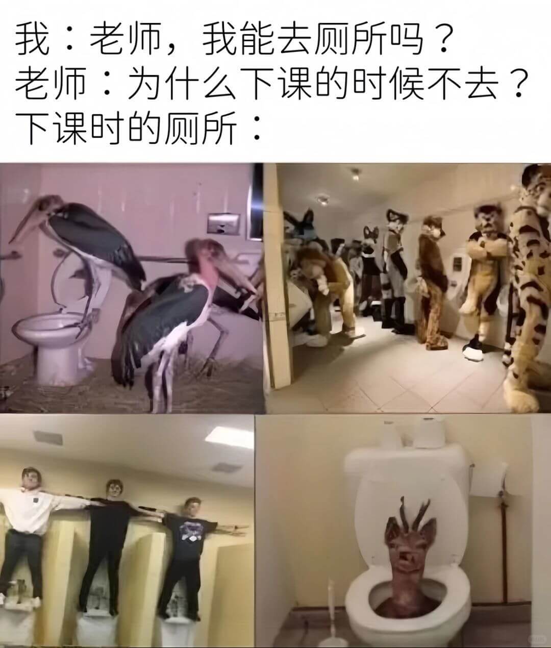 我：老师，我能去厕所吗？老师：为什么下课的时候不去？下课时的