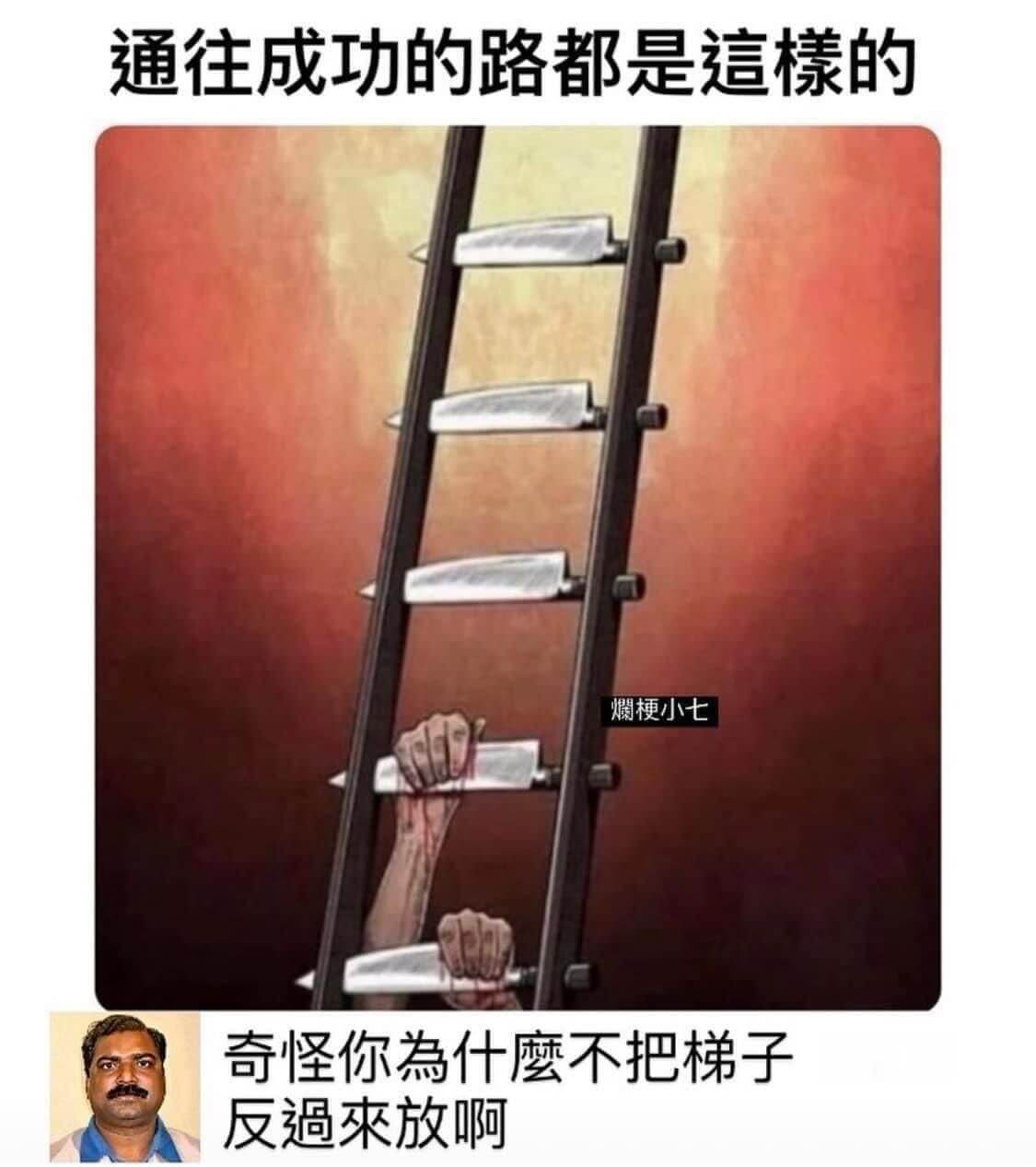 烂梗小七奇怪你为什么不让把梯子反过来放啊
