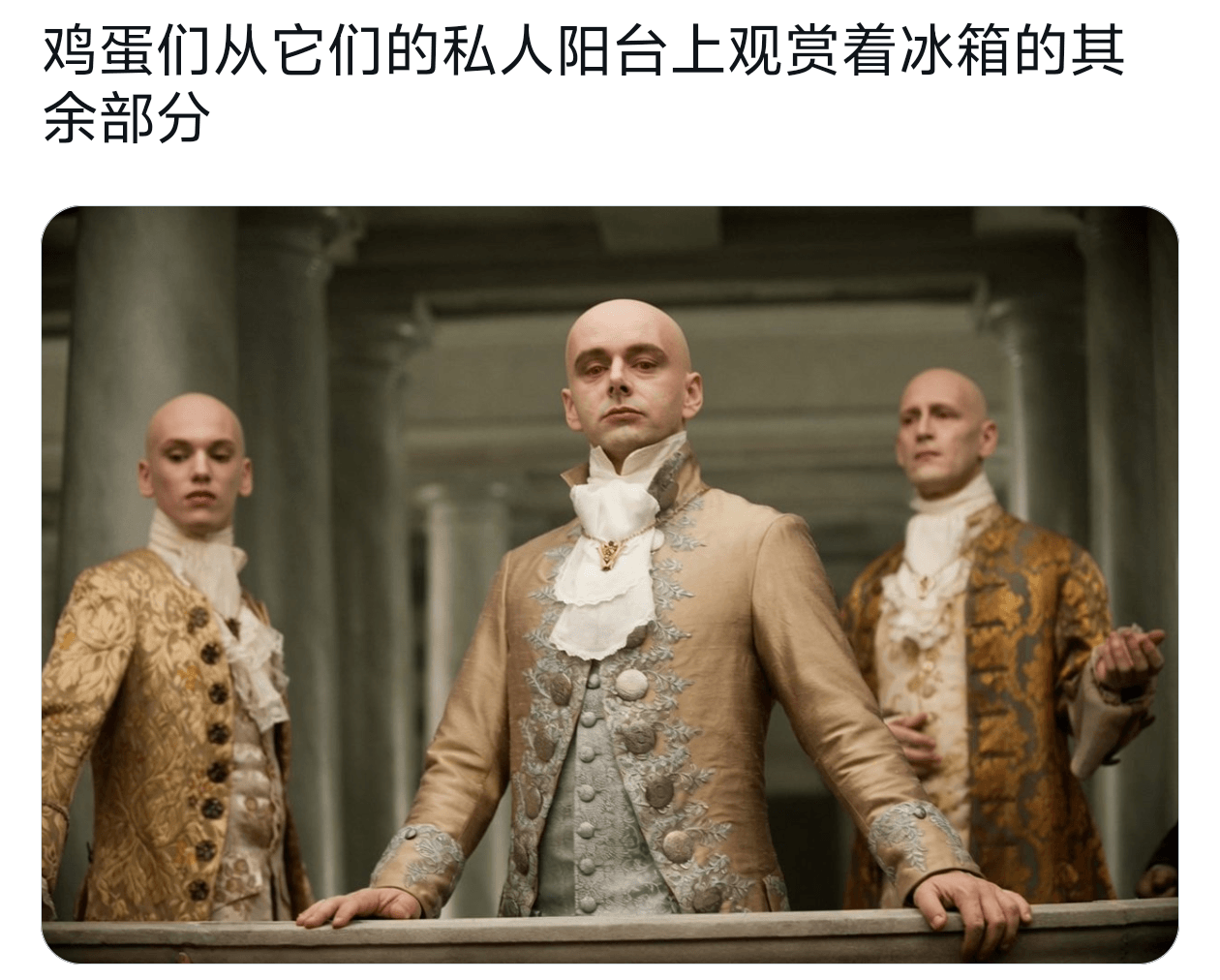鸡蛋们从它们的私人阳台上观赏冰箱的其余部分