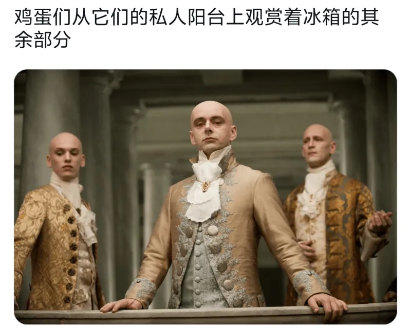 鸡蛋们从它们的私人阳台上观赏冰箱的其余部分