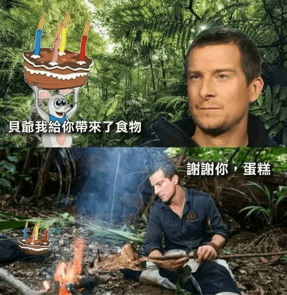 贝靠我给你带来了食物谢谢你，蛋糕