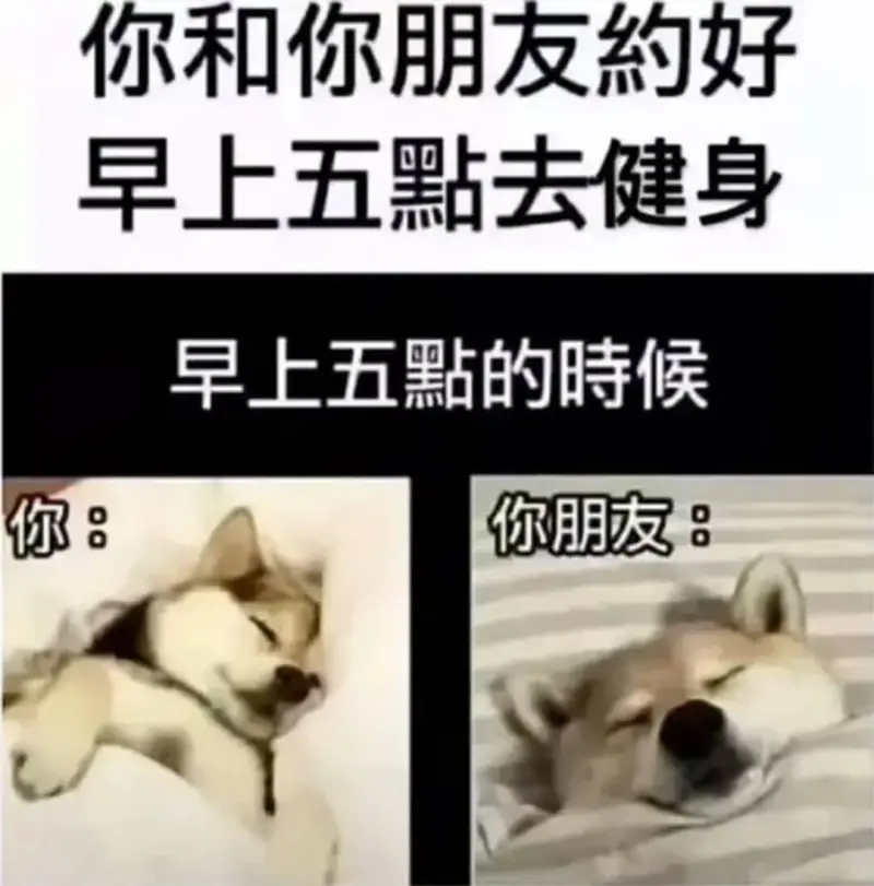 你和你朋友約好早上五點去健身早上五點的時候你：你朋友：