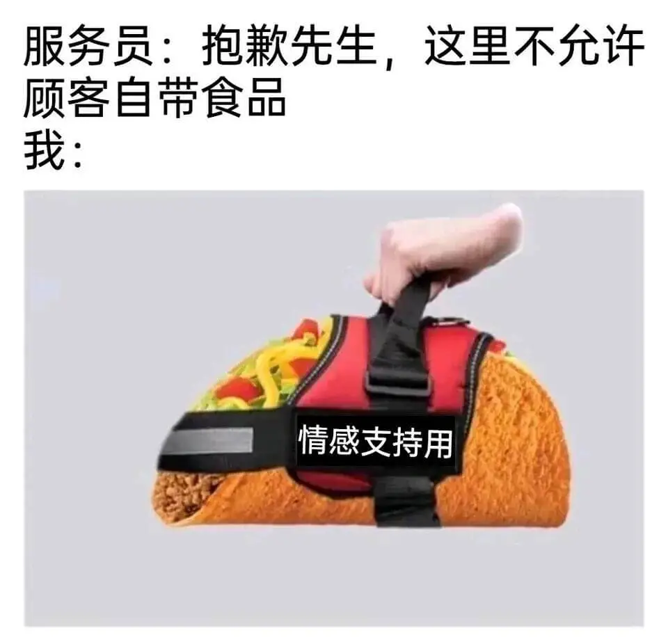 服务员：抱歉，先生，这里不允许客自带食品。我：情感支持用