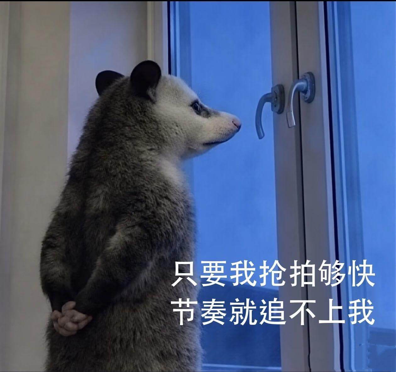 只要我抢拍够快，节奏就追不上我