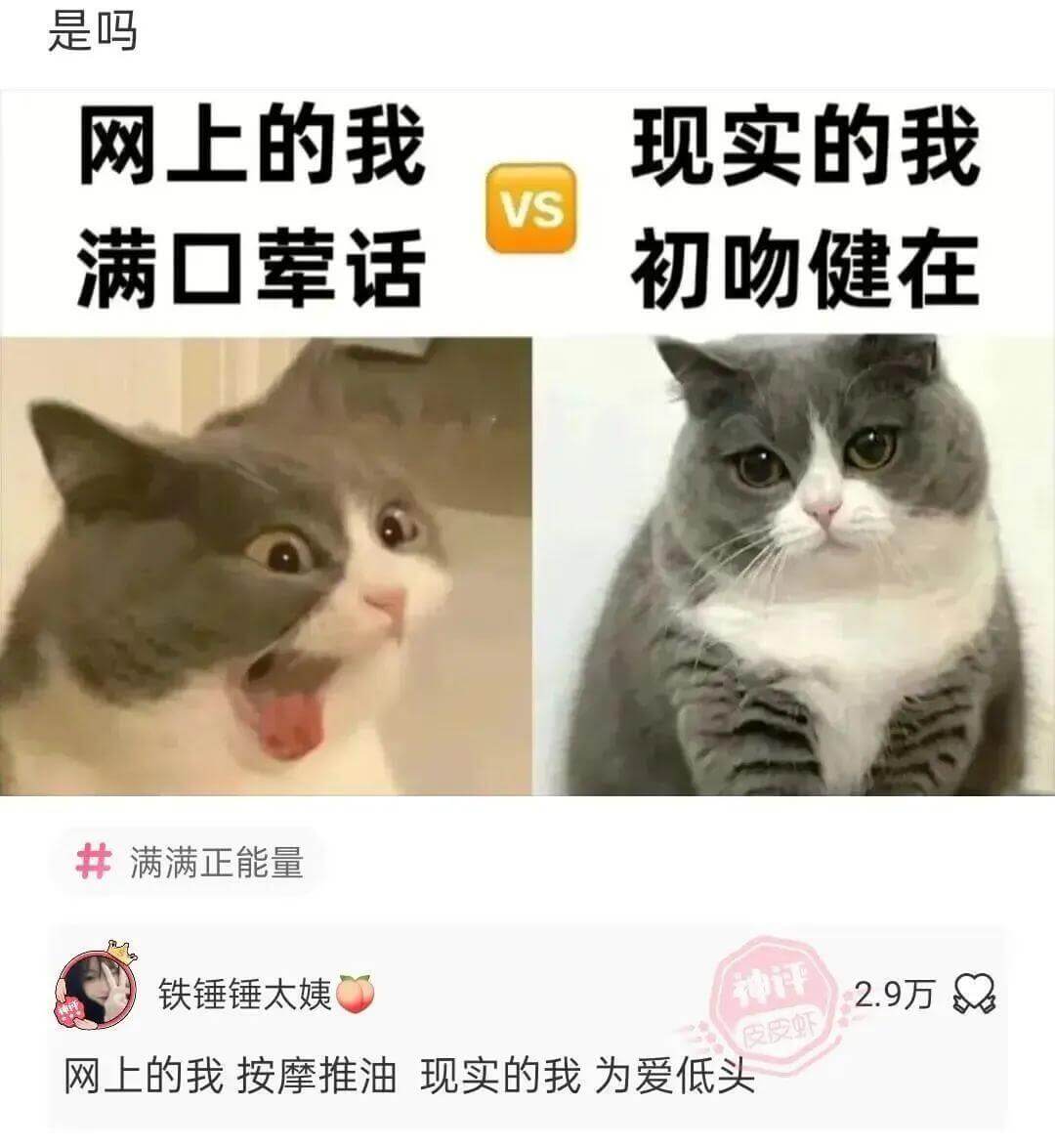 是吗？网上的我VS现实的我满口荤话，初吻健在；满满正能量，铁
