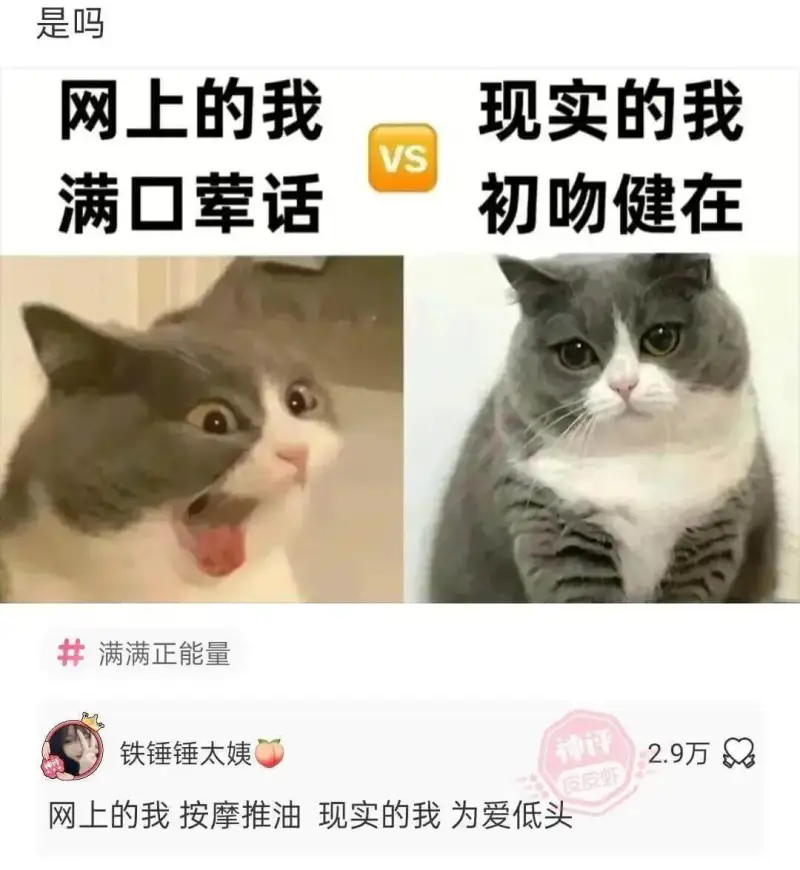 是吗？网上的我VS现实的我满口荤话，初吻健在；满满正能量，铁