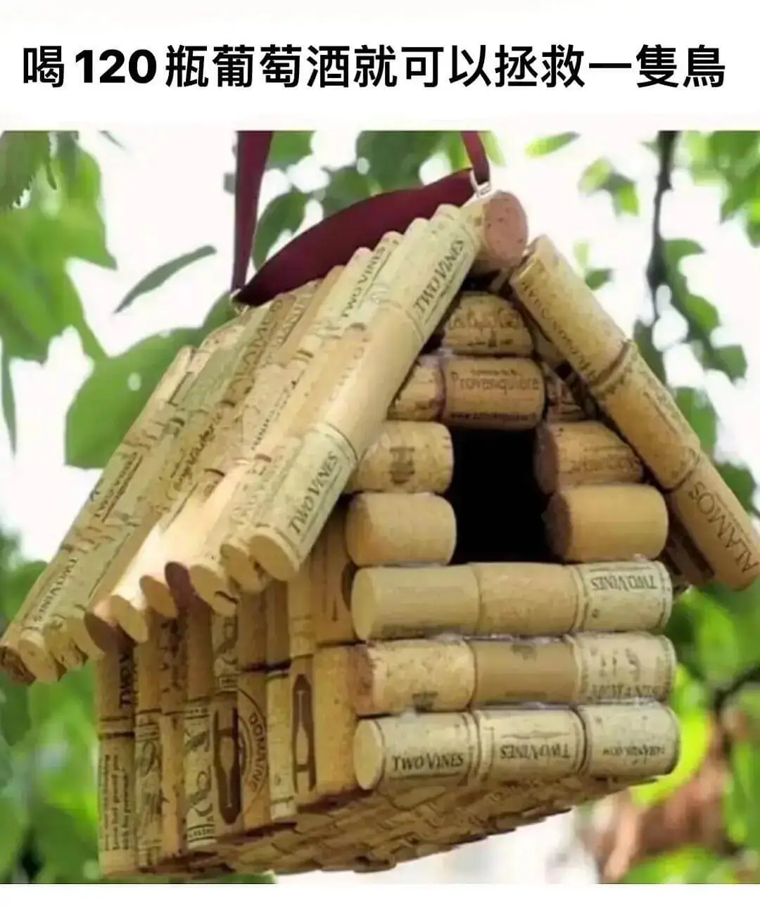 喝120瓶葡萄酒就可以拯救一隽鳥SOWSTVAOTWOVNE