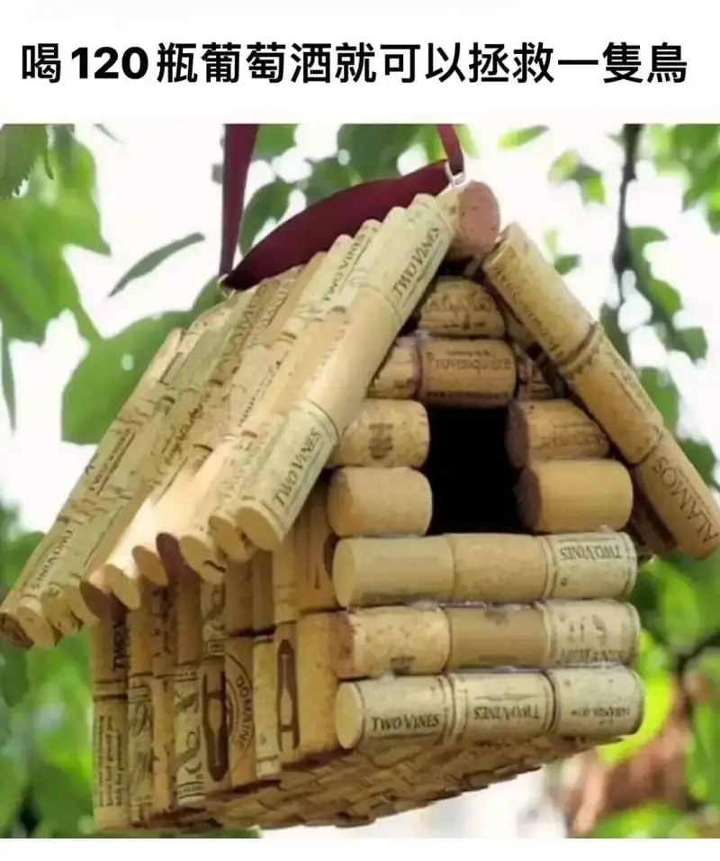 喝120瓶葡萄酒就可以拯救一隽鳥SOWSTVAOTWOVNE