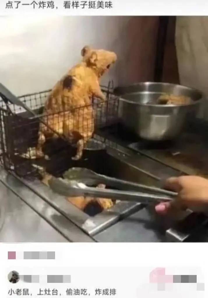 点了一个炸鸡，看样子挺美味小老鼠，上灶台，偷油吃，炸成排