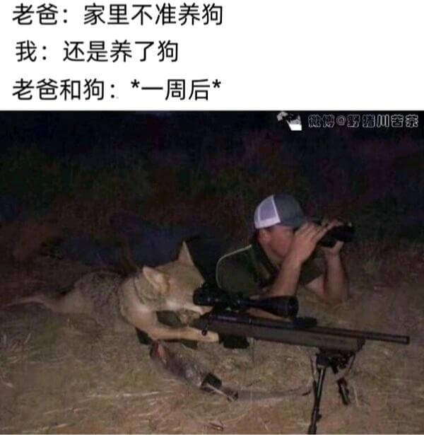 老爸：家里不准养狗。我：还是养了狗。老爸和狗：*一周后*