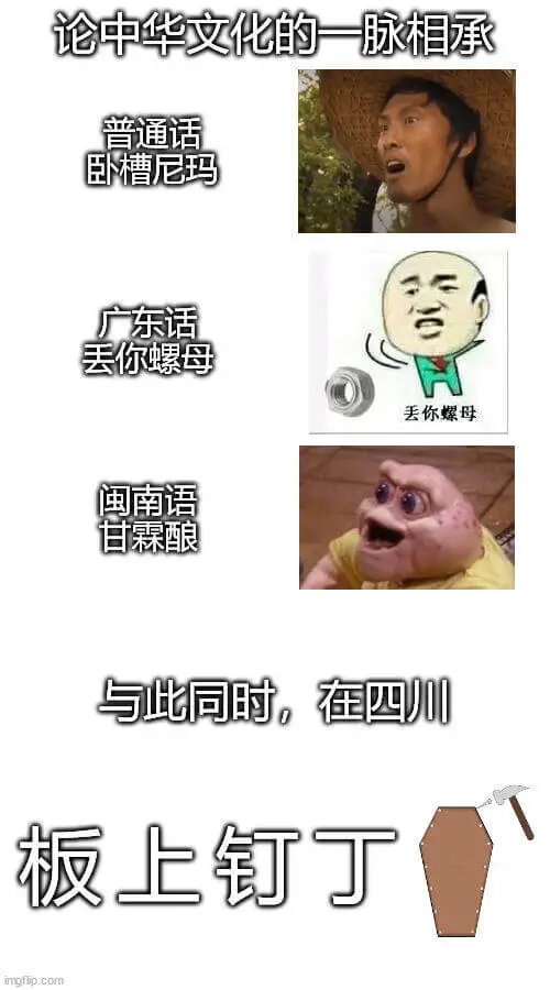 论中华文化的一脉相承普通话：卧槽尼玛广东话：丢你螺母闽南语：