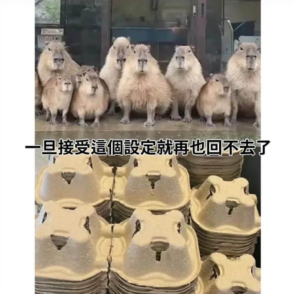 一旦接受這個設定就再也回不去了