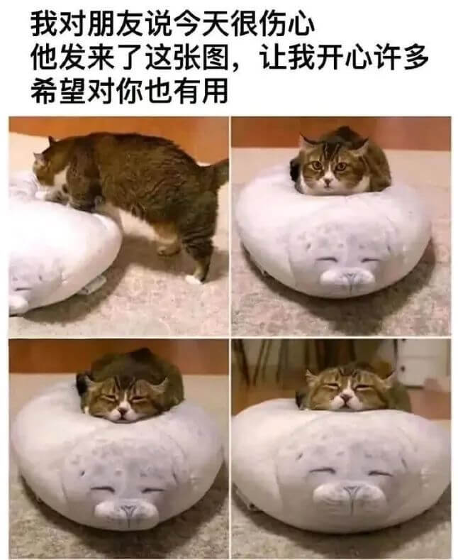 我对朋友说今天很伤心他发来了这张图，让我开心许多希望对你也有