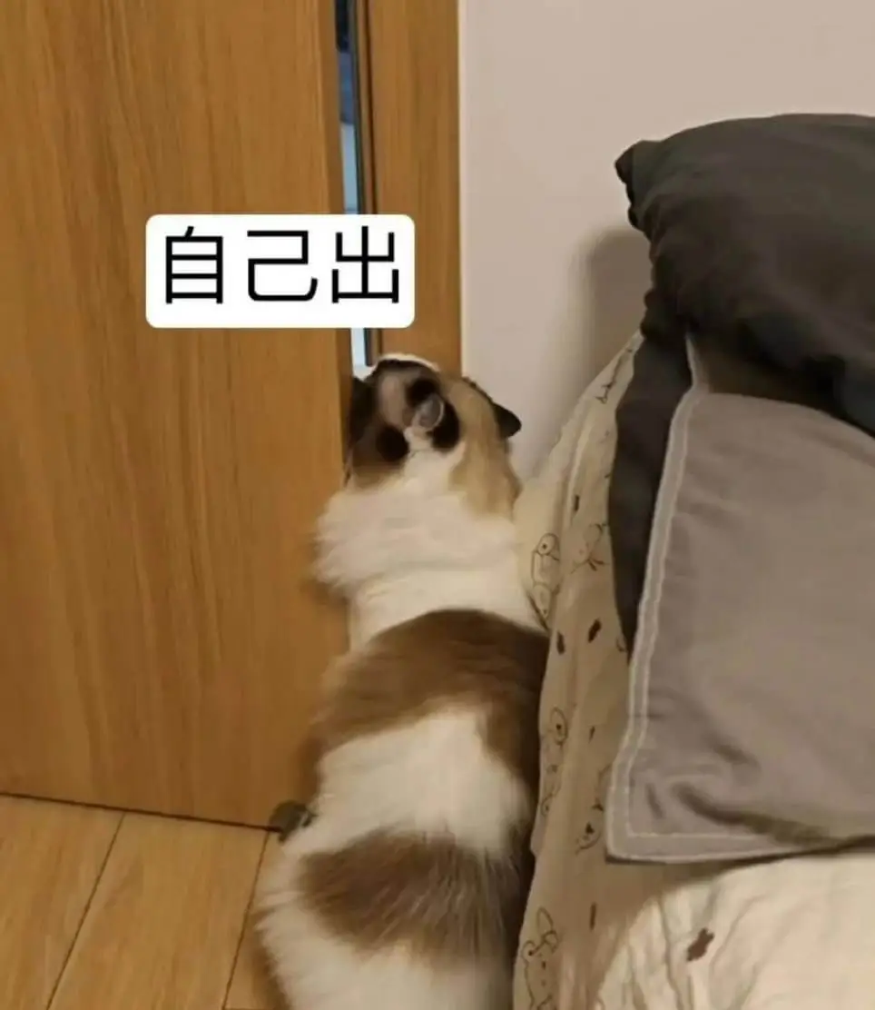 自己出