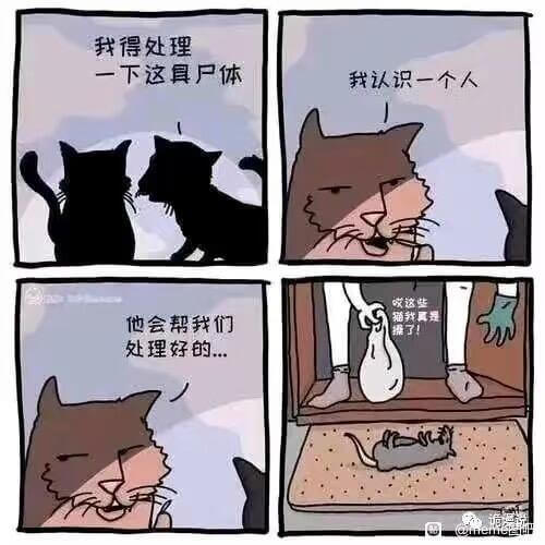 我得处理一下这具户体我认识一个人哎这生他会帮我们操了！处理好