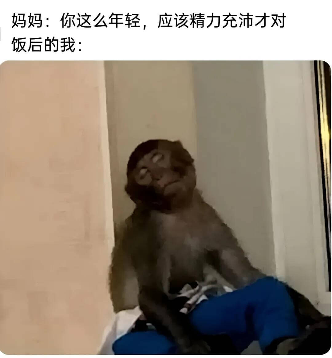 妈妈：你这么年轻，应该精力充沛才对。饭后的我：