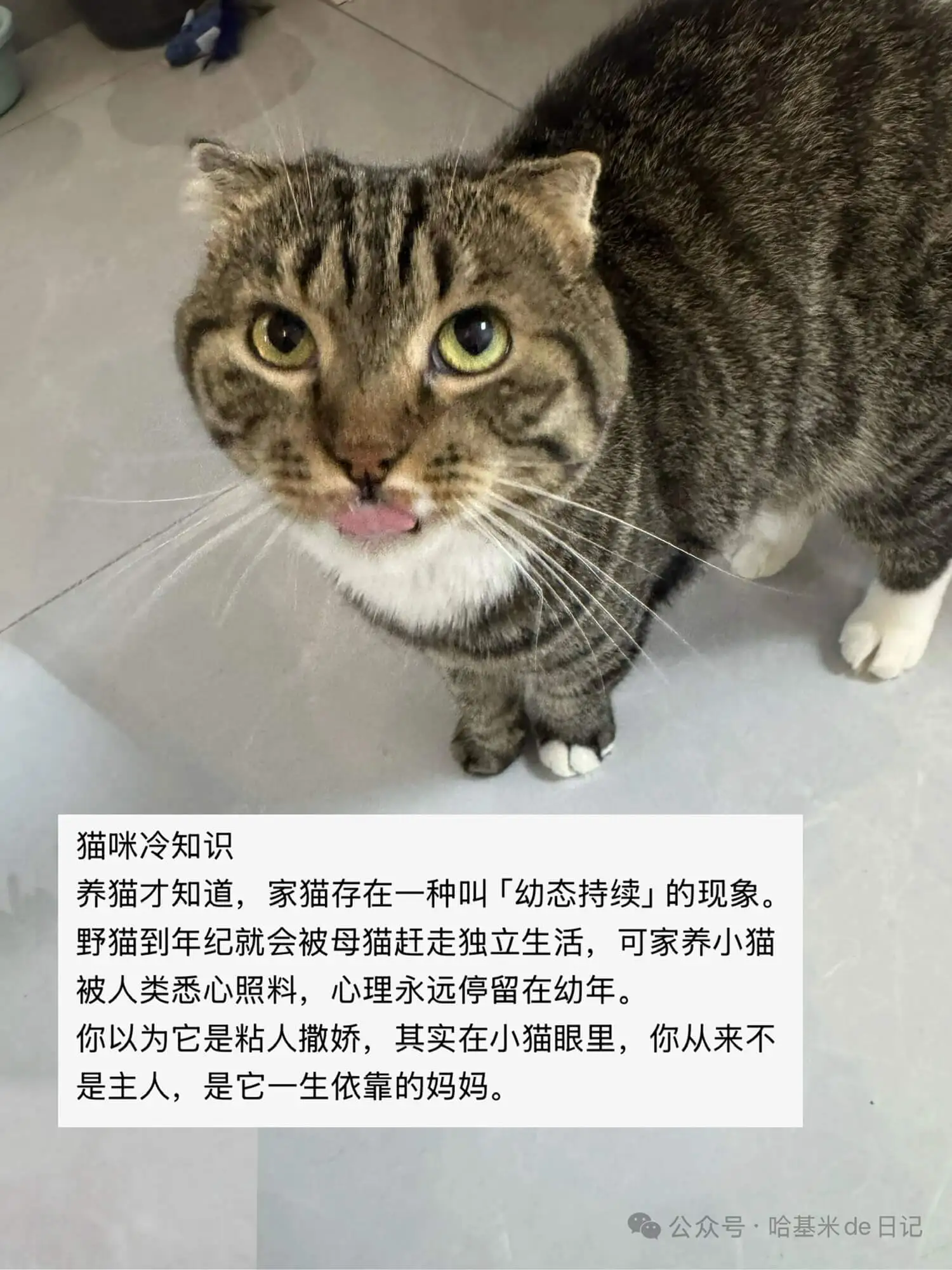 不要再叫妈宝了，请称“幼态持续”！