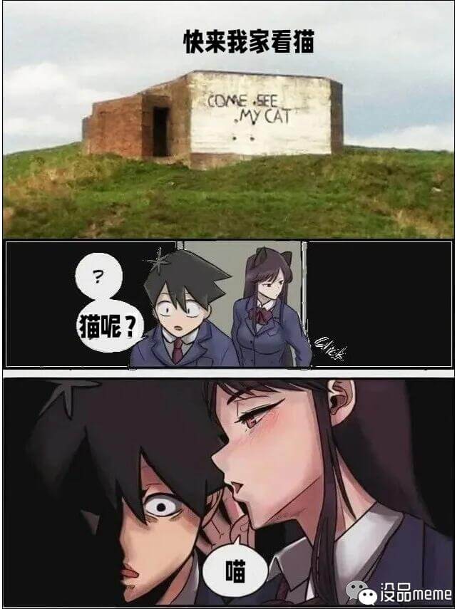 快来我家看猫COMESEEMYCAT猫呢？喵没品meme