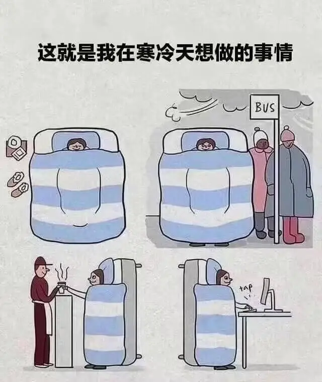 这就是我在寒冷天想做的事情：BUS