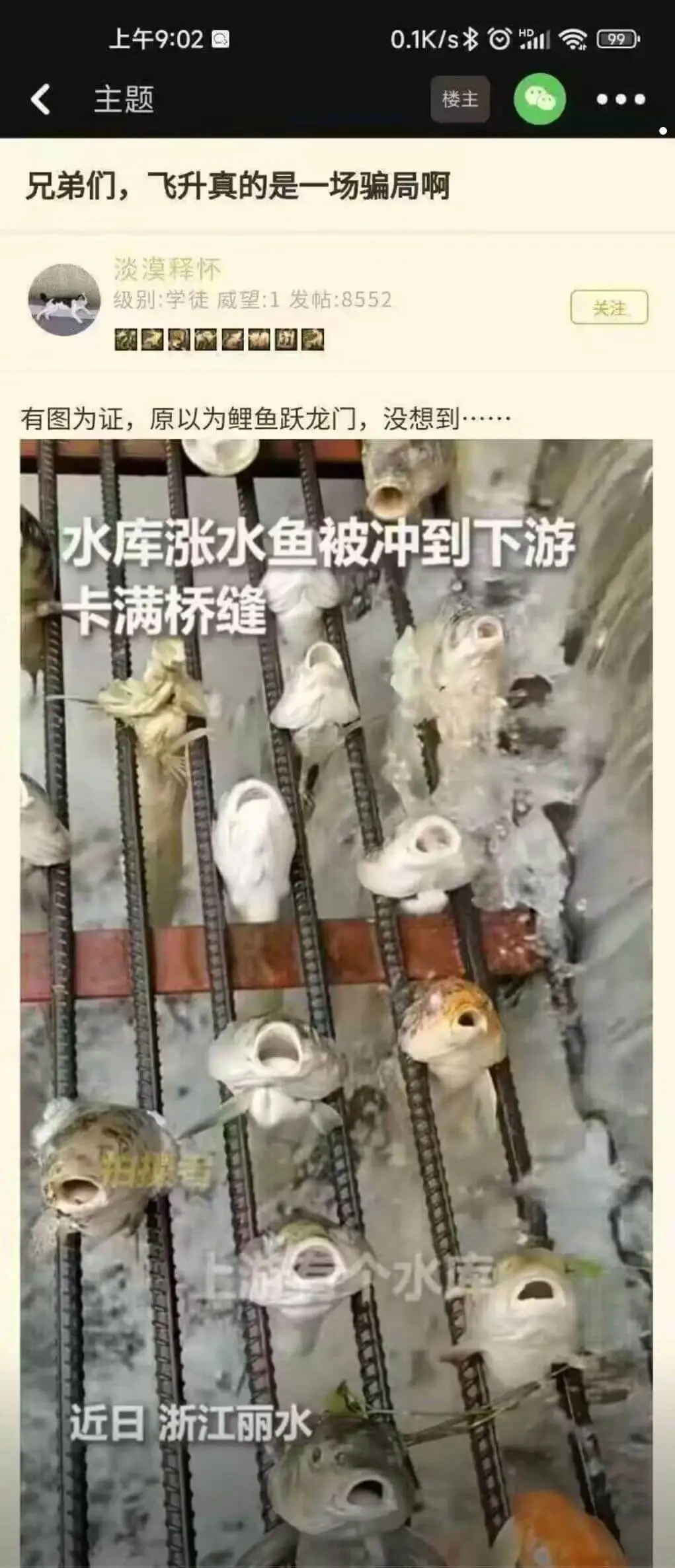 上午9:020.1K/s*H99主题楼主兄弟们，飞升真的是一