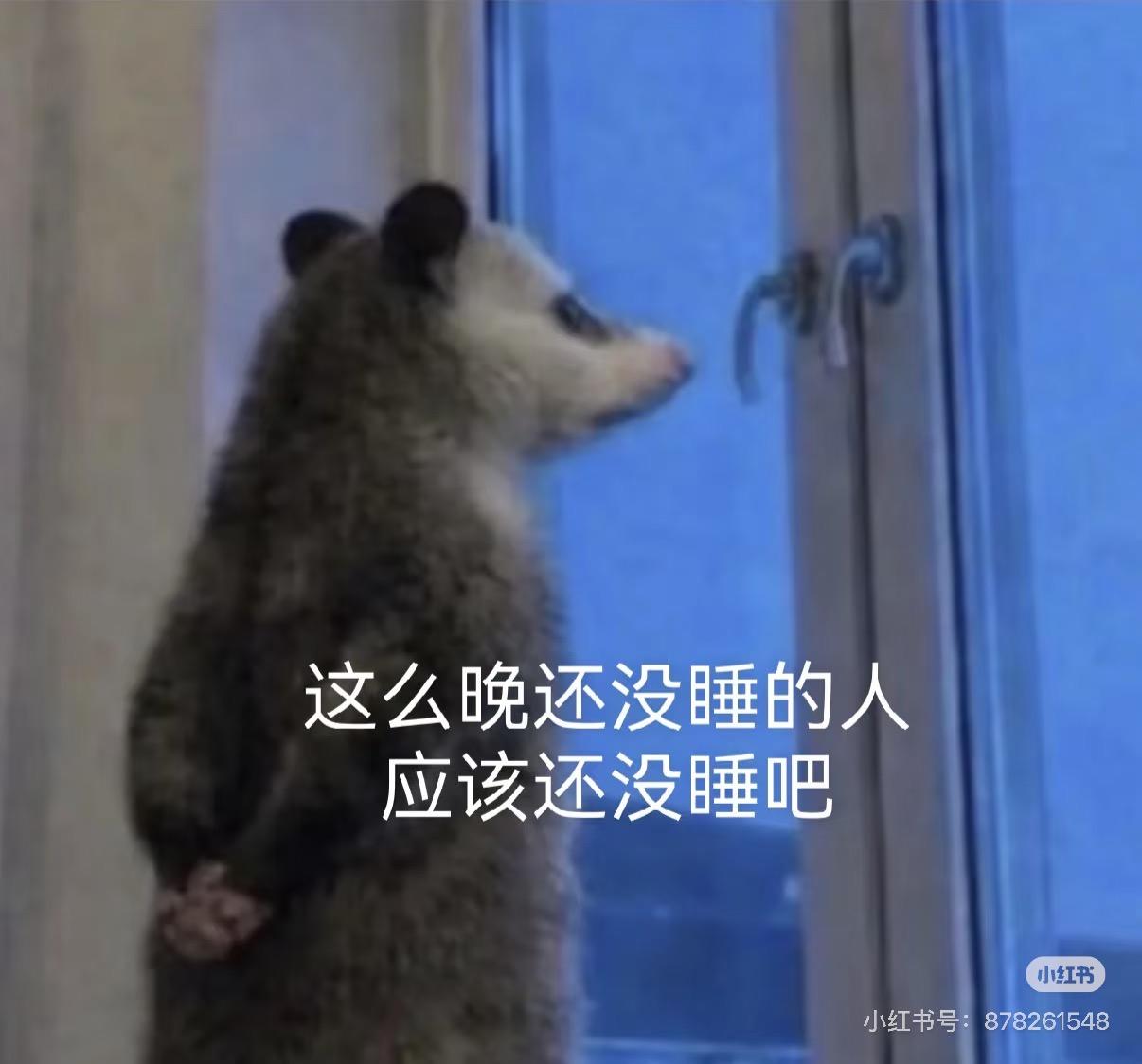 这么晚还没睡的人，应该还没睡吧。小红书小红书号：878261