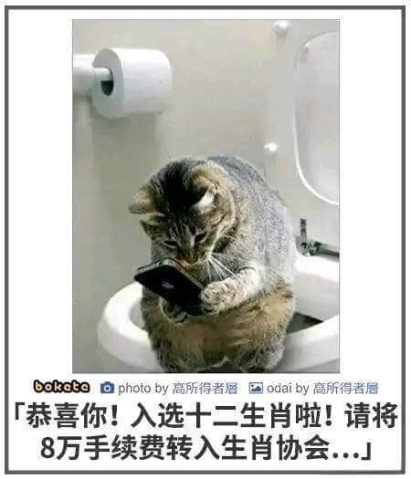 bokotoaphotoby高所得者唇国odaiby高所得者