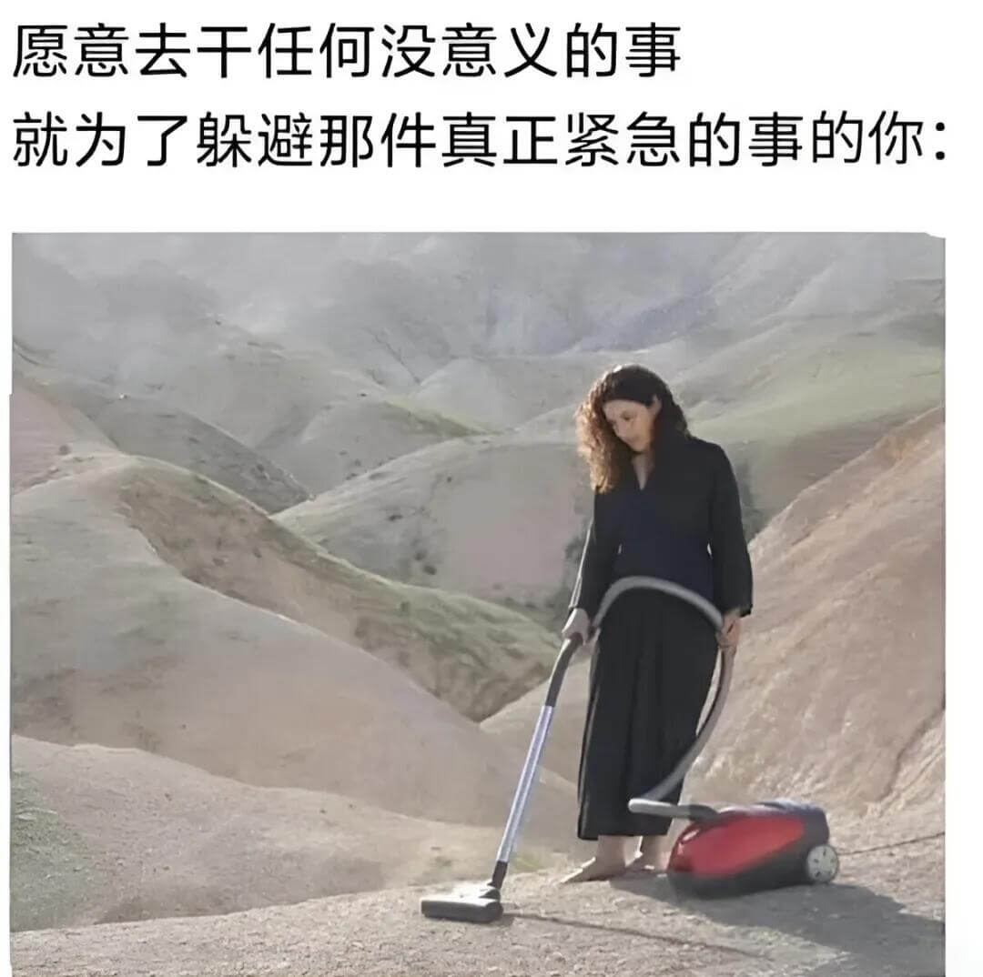 愿意去千任何没意义的事就为了躲避那件真正紧急的事的你：