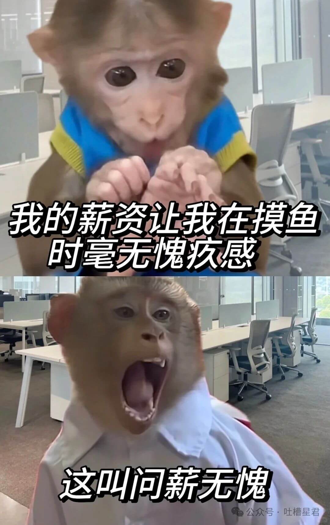 我的薪资让我在摸鱼时毫无愧疚感这叫问薪无愧公众号·吐槽星君