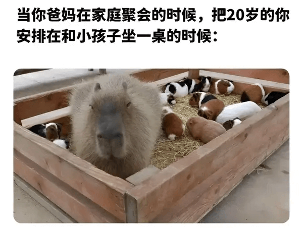 当你爸妈在家庭聚会的时候，把20岁的你安排在和小孩子坐一桌的