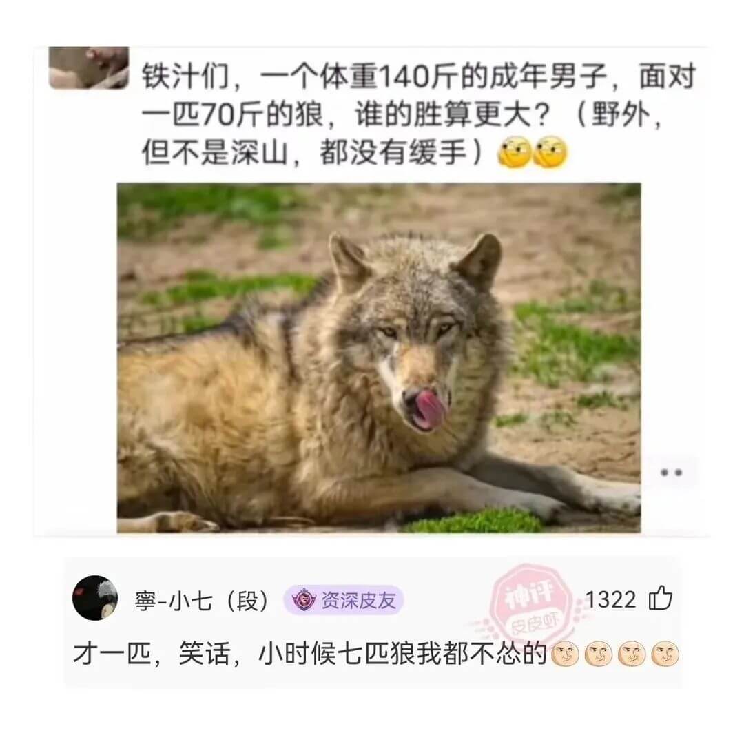 铁汁们，一个体重140斤的成年男子，面对一匹70斤的狼，谁的