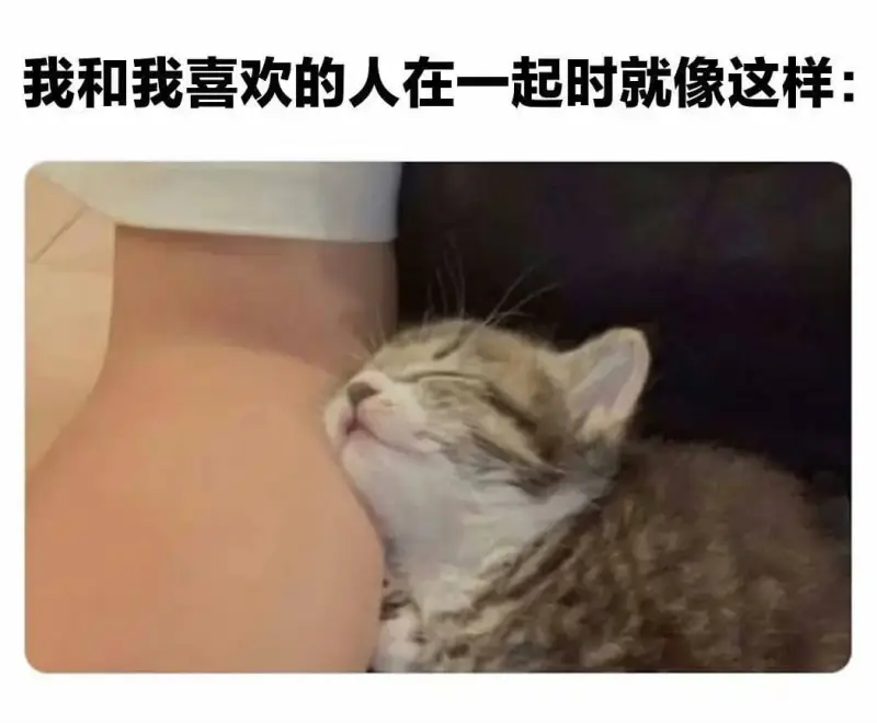 我和我喜欢的人在一起时就像这样: