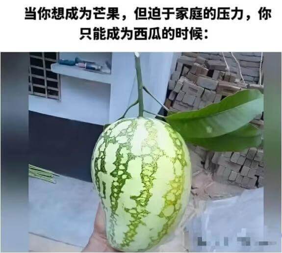 当你想成为芒果，但迫于家庭的压力，你只能成为西瓜的时候：